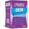 Lipograsil Dren (8G 14 Sobres Citricos)