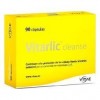 Kyolic 105 Cleanse 90 Capsulas     Vitae