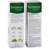 Farmatint (1 Envase 135 Ml Tono Castaño Claro Dorado)