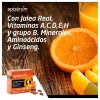 Apiserum Energía Vitamax, 18 Viales. - Perrigo