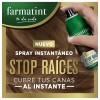 Farmatint Stop Raices (1 Spray 75 Ml Tono Rubio Claro)