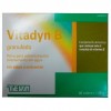 Vitadyn B Granulado 40 Sticks