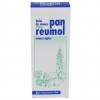 Panreumol Baño De Manos Viñas (1 Envase 200 Ml)