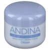 Andina Crema Decolorante (1 Envase 30 Ml)