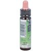 Remedio Plantis Nº 4 Temores-Inseguridades 10Ml.