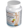 Prisma Natural Colagen Plus Flexi+ 300G Peptan