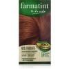 Farmatint (1 Envase 135 Ml Tono Castaño Claro Cobrizo)