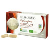 Marnys Hericium Melena De Leon Bio 400Mg 30Caps