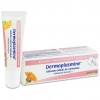 Boiron Dermoplasmine Bálsamo Labial De Caléndula, 10 G