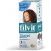 Filvit Champú Pediculicida (1 Envase 100 ml) - Uriach-aquilea Otc S.l