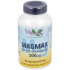 Vbyotics Magmax Magnesio Citrato 500Mg 100Caps