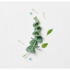 Head Spa Astera Fresh Fluido Calmante Refrescante, 50 ml. - René Furterer