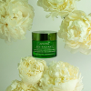 Bee Radiant Crema Signos de la Edad & Antifatiga Textura Rica, 50 ml. - Apivita