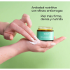 Cellular Plus Crema Facial Antiedad y Nutritiva 50 ml. - Segle Clinical 