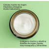 Cellular Plus Crema Facial Antiedad y Nutritiva 50 ml. - Segle Clinical 