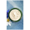 Crema de Día Redensificante de Genciana Azul y Edelweiss, 40 ml. - Weleda 