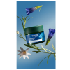 Crema de Día Redensificante de Genciana Azul y Edelweiss, 40 ml. - Weleda 