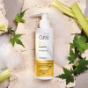 Cutis D Dandruff Shampoo, 150 ml. - The Cutis Lab