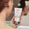 Cutis P Cream Hidratante Natural, 150 ml. - The Cutis Lab