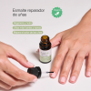 Cutis P Esmalte Reparador de Uñas, 10 ml. - The Cutis Lab