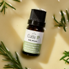 Cutis P Esmalte Reparador de Uñas, 10 ml. - The Cutis Lab