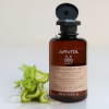 Dandruff Champú Anticaspa Seca, 250 ml. - Apivita