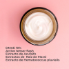 DMAE Lift 10 Crema Facial Reafirmante, 50 ml. - Segle Clinical
