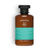 Oily Roots Dry Ends Champú Equilibrante para Raíz Grasa y Puntas Secas, 250 ml. - Apivita