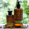Tonic Mountain Tea Gel de Baño con Aceites Esenciales con Té de Montaña, 500 ml. - Apivita