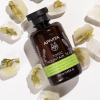 Tonic Mountain Tea Gel de baño con Aceites Esensciales con Té de Montaña, 250 ml. - Apivita