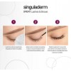 Xpert Lashes & brows, 4 ml. - Singuladerm