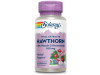 Hawthorn Extract 100mg 60vcap - Solaray