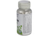 Lactase 40Mg. 4000Fcc 100Cap.Veg