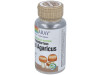 Royal Agaricus Champiñon Del Sol 500Mg. 60Cap.Veg