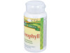 Chlorophyll 90cap. 2 - Solaray