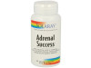Adrenal Success 60caps - Solaray