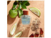 Canyon Escape For Him Eau de Toilette Vaporizador 100 ml - Hollister
