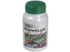 Boswellin 300Mg. 60Cap. Herbal Actives