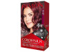 Kit Tinte Colorsilk 48 Borgoña - Revlon