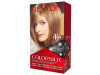 Revlon Kit Tinte Colorsilk 61 Rubio Oscuro