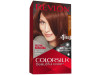 Kit Tinte Colorsilk 31 Castaño Oscuro Cobrizo - Revlon