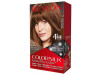 Revlon Kit Tinte Colorsilk 43 Castaño Medio Dorado