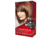 Revlon Kit Tinte Colorsilk 50 Castaño Claro Cenizo