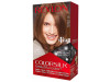 Kit Tinte Colorsilk 51 Castaño Claro - Revlon