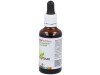Ext. Lapacho Pau de Arco 50ml - Sura Vitasan