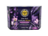 Black Bee Jalea Real Inmuno Stress Con 20 Ampollas