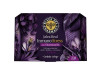 Black Bee Jalea Real Inmuno Stress Con 20 Ampollas