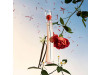 Flower By Kenzo L'Absolue Eau De Parfum Vaporizador 30 Ml