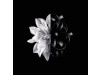 L'interdit Eau de Toilette Vaporizador 50 ml - Givenchy