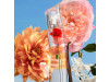 Flower La Recolte Parisienne By Kenzo Edp Vapo 75 Ml